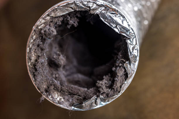 Best Air Duct Cleaning Near Me  in Willow, AK