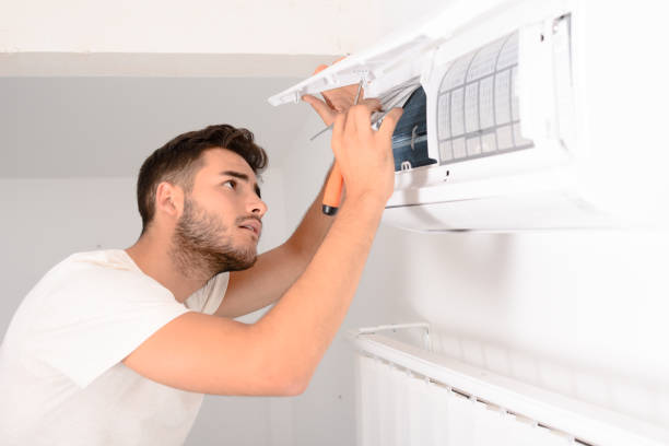 Best Air Vent Cleaning Services  in Willow, AK